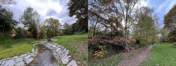 Revitalizace Kunratického potoka v Braníku