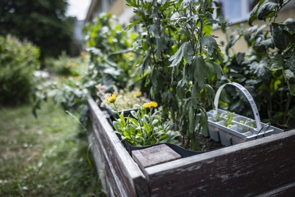 Záhonky pro školky MŠ Němčická