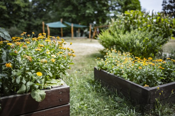 Záhonky pro školky MŠ Němčická
