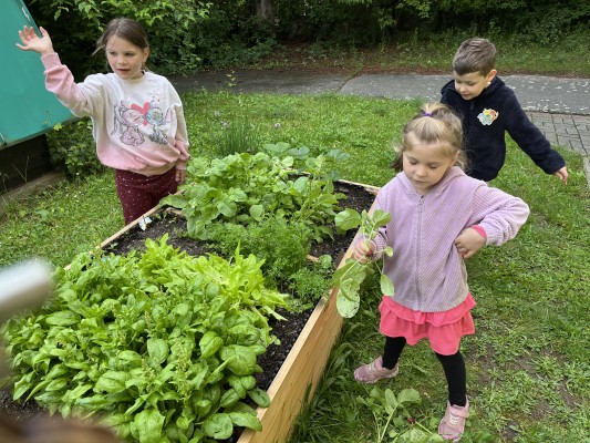 Záhonky pro školky MŠ Trojlístek/Točitá