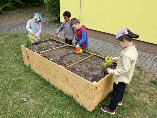 Záhonky pro školky MŠ Trojlístek/Točitá