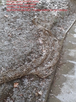 Revitalizace promenády V Zápolí