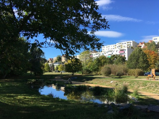 Vodní biotop Braník