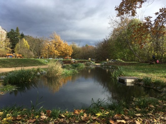 Vodní biotop Braník