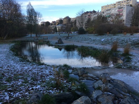 Vodní biotop Braník