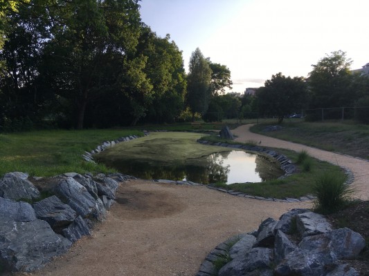 Vodní biotop Braník