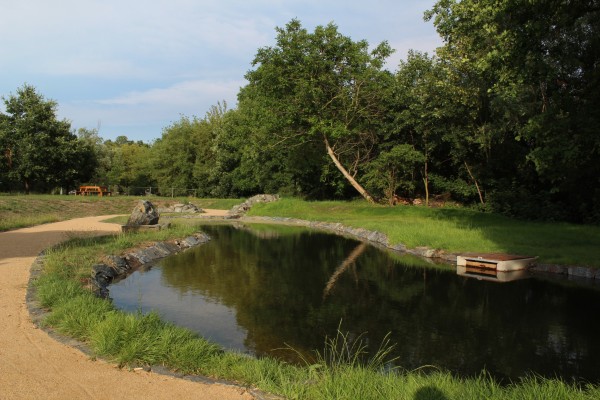 Vodní biotop Braník