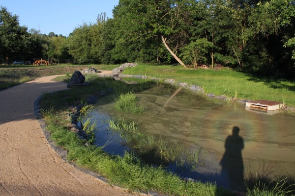 Vodní biotop Braník