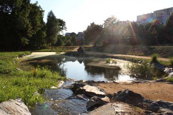 Vodní biotop Braník