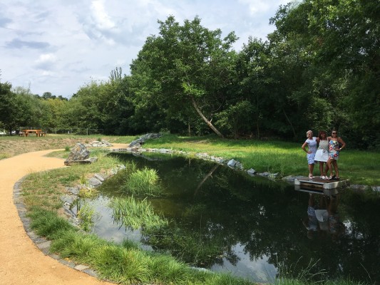 Vodní biotop Braník