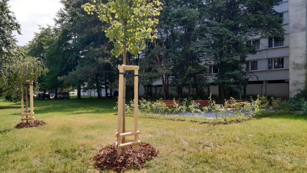 Posezení pro seniory Hurbanova