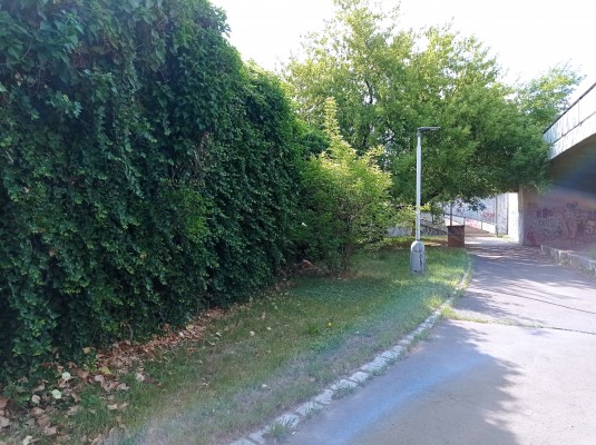 Kultivace podchodu u Vrchního soudu