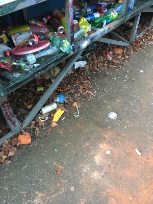 Revitalizace skateparku, umožnění přístupu a obnova chátrajícího pozemku, kde se schází děti.