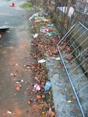 Revitalizace skateparku, umožnění přístupu a obnova chátrajícího pozemku, kde se schází děti.