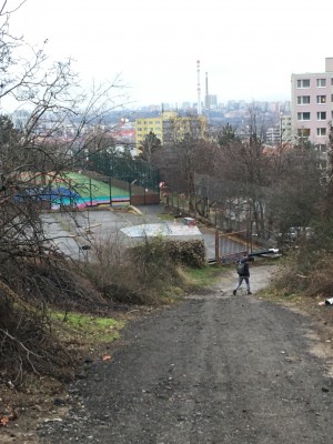 Revitalizace skateparku, umožnění přístupu a obnova chátrajícího pozemku, kde se schází děti.
