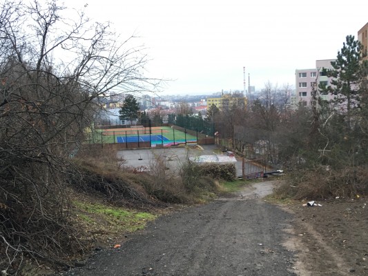 Revitalizace skateparku, umožnění přístupu a obnova chátrajícího pozemku, kde se schází děti.