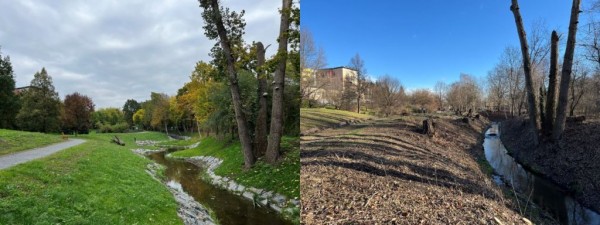 Revitalizace Kunratického potoka v Braníku