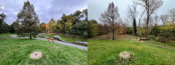 Revitalizace Kunratického potoka v Braníku