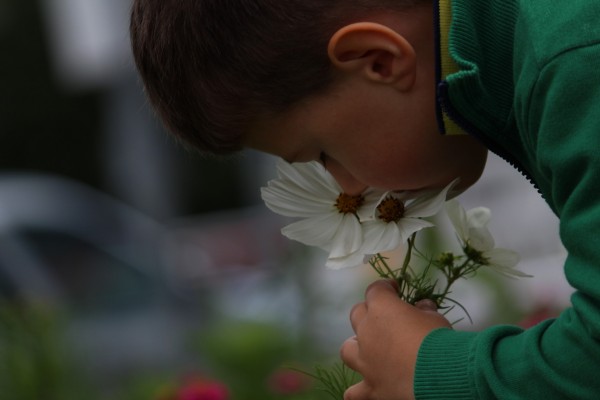 Květnatá louka Antala Staška, srpen 2021