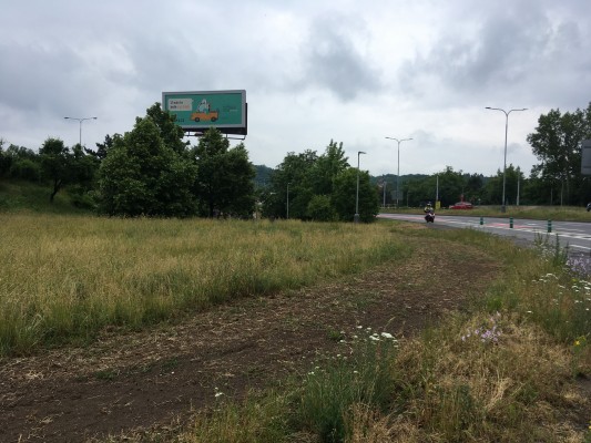 Čerstvě osetá květnatá louka Barrandovský most