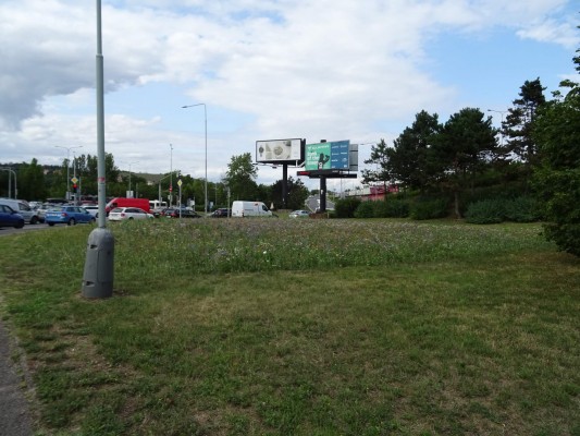 Květnatá louka Barrandovský most