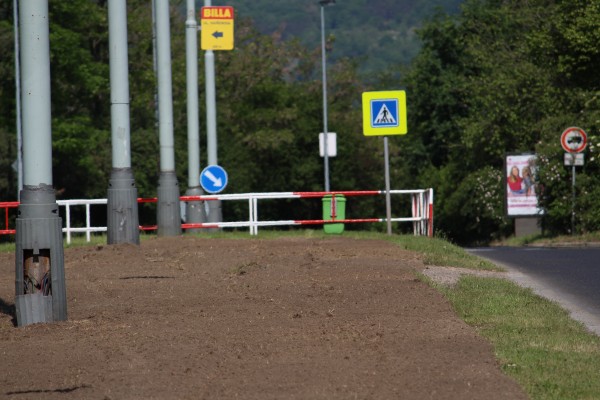 Květnatá louka Novodvorská