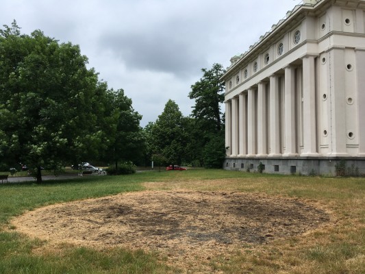 Čerstvě osetá květnatá louka Podolská