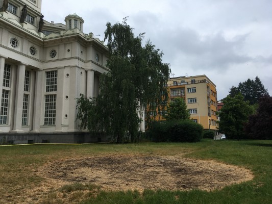 Čerstvě osetá květnatá louka Podolská