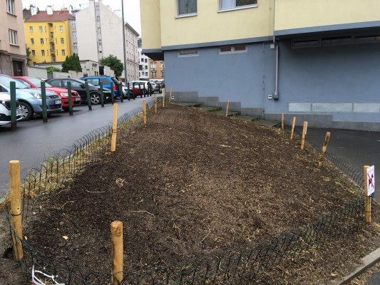 Čerstvě osetá květnatá loučka na křížení ulic U Křížku a Družstevní