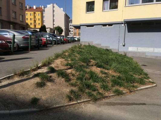 Pozemek na křížení ulic U Křížku a Družstevní před osetím