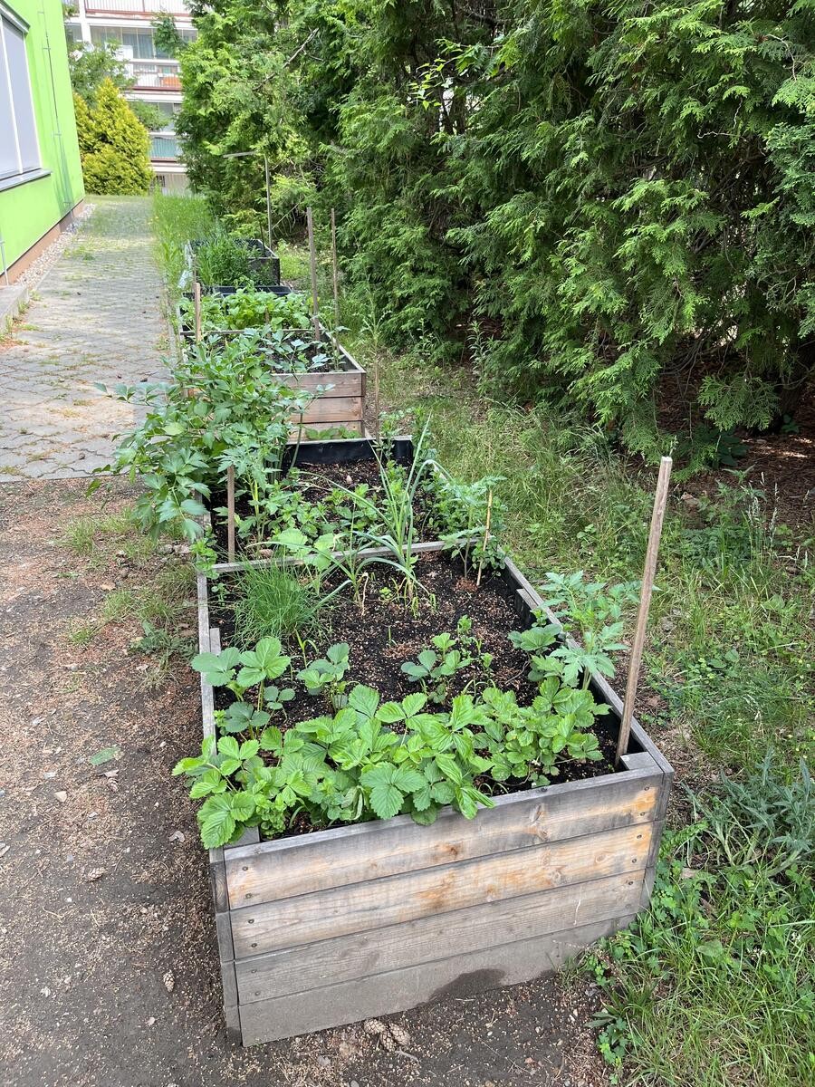 Záhonky pro školky MŠ 4 Pastelky/ Plamínková 1