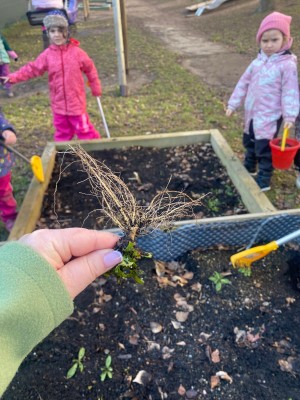 Záhonky pro školky MŠ 4 Pastelky /Plamínkové 2