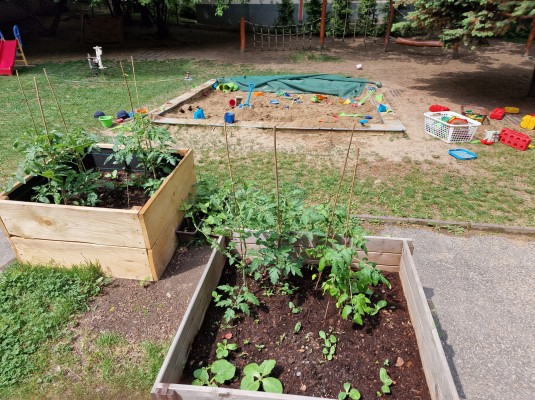 Záhonky pro školky MŠ BoTa/Táborská