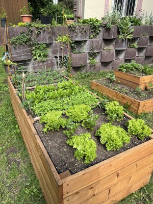 Záhonky pro školky MŠ BoTa/Boleslavova