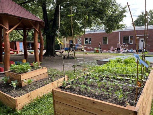 Záhonky pro školky MŠ BoTa/Boleslavova