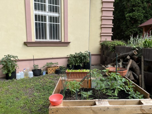 Záhonky pro školky MŠ BoTa/Boleslavova