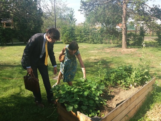 Záhonky pro školky MŠ Kavčí hory/Kaplická