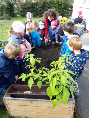 Záhonky pro školky