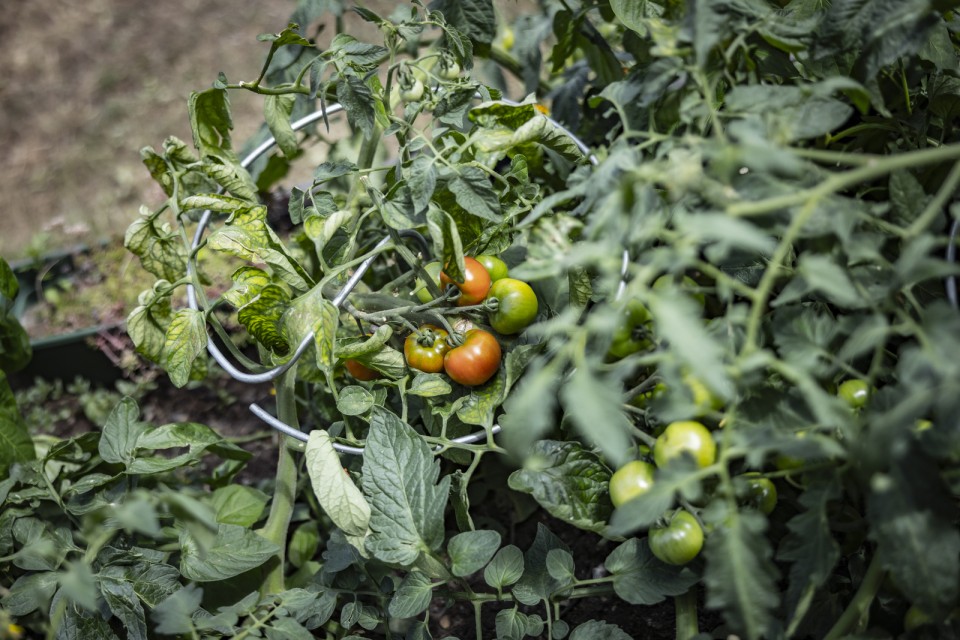 Záhonky pro školky MŠ Němčická