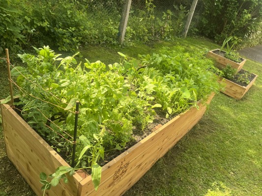 Záhonky pro školky