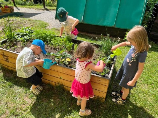 Záhonky pro školky