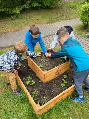 Záhonky pro školky MŠ Trojlístek/Hudečkova