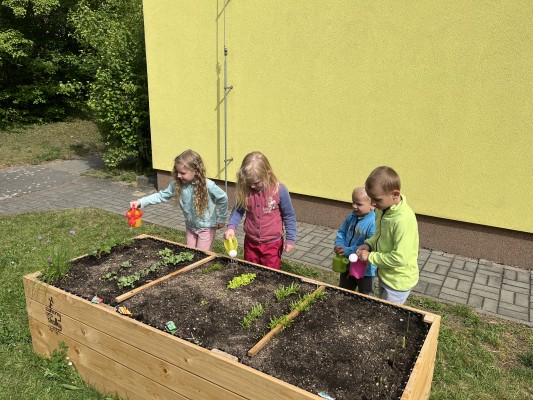 Záhonky pro školky MŠ Trojlístek/Točitá