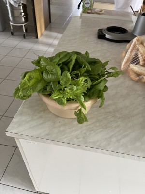 Záhonky pro školky MŠ Trojlístek/Točitá