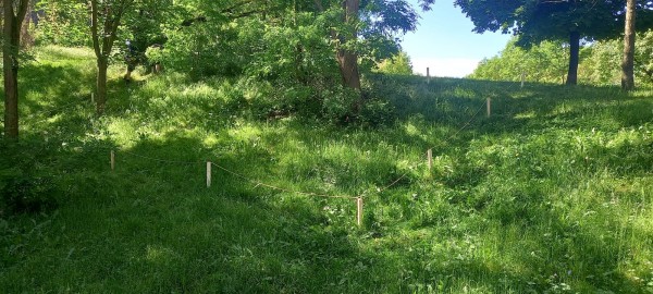 Nesekané trávníky