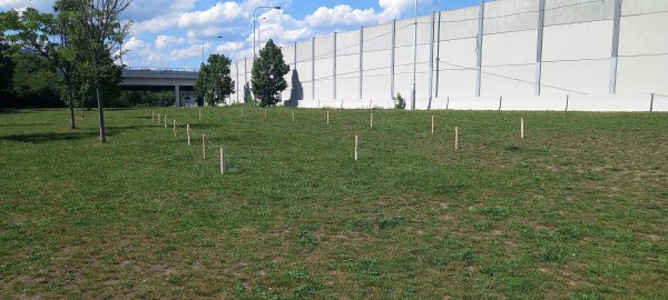 Nesekané trávníky