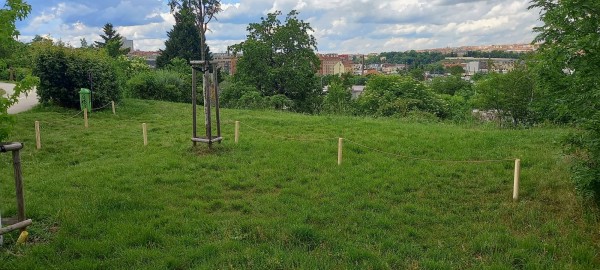 Nesekané trávníky