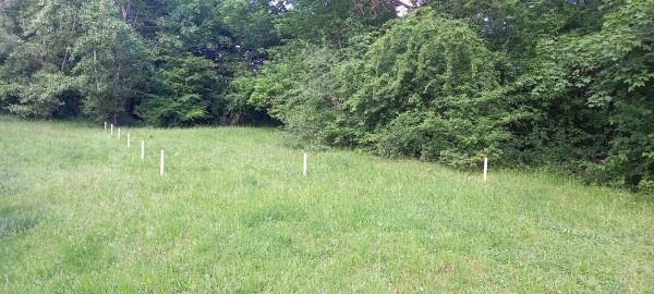 Nesekané trávníky