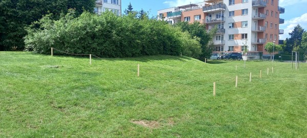 Nesekané trávníky