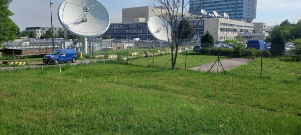 Nesekané trávníky